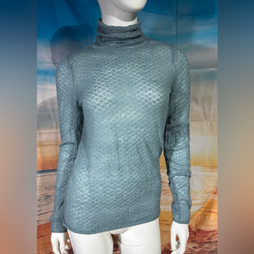Classiques Entier wool blend turtleneck